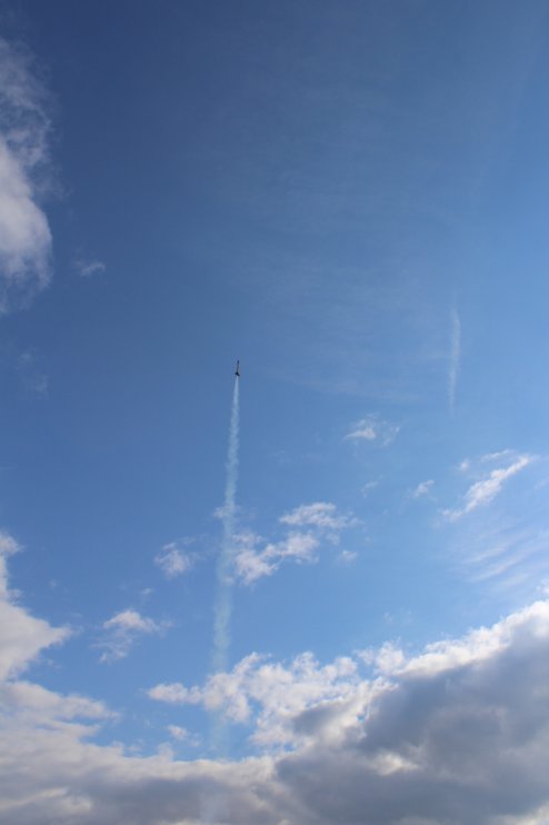 img_9084 model s andoga - let